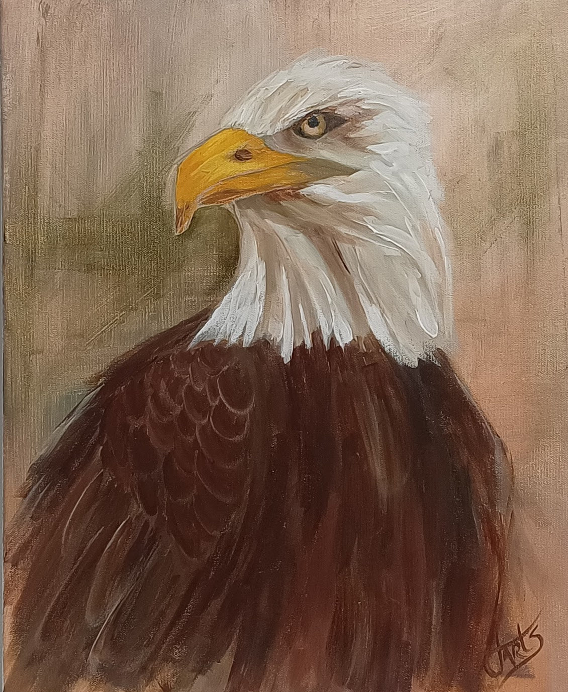 Original Bald Eagle painting, 40 × 50 cm